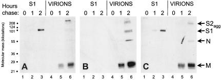 FIG. 6.