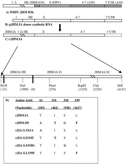 FIG. 1.