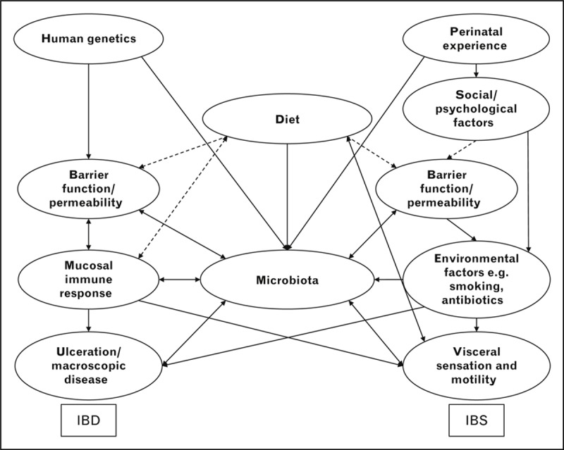 FIGURE 1