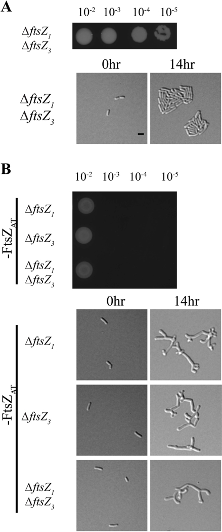 Figure 2.