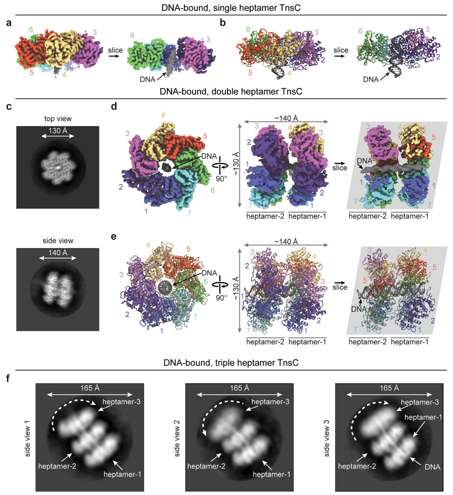 Extended Data Fig. 9 |