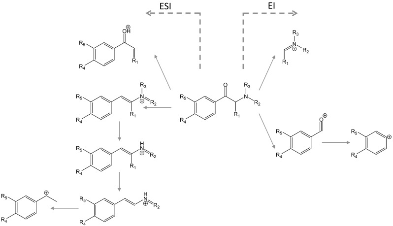 Fig. 5