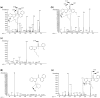 Fig. 3
