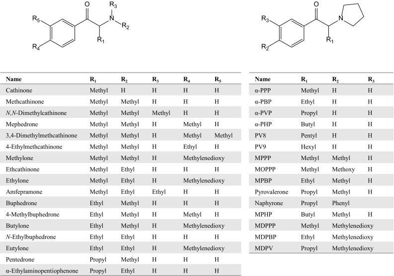 Fig. 2