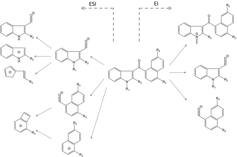 Fig. 4