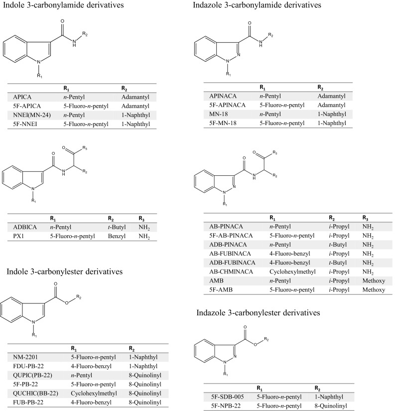 Fig. 1