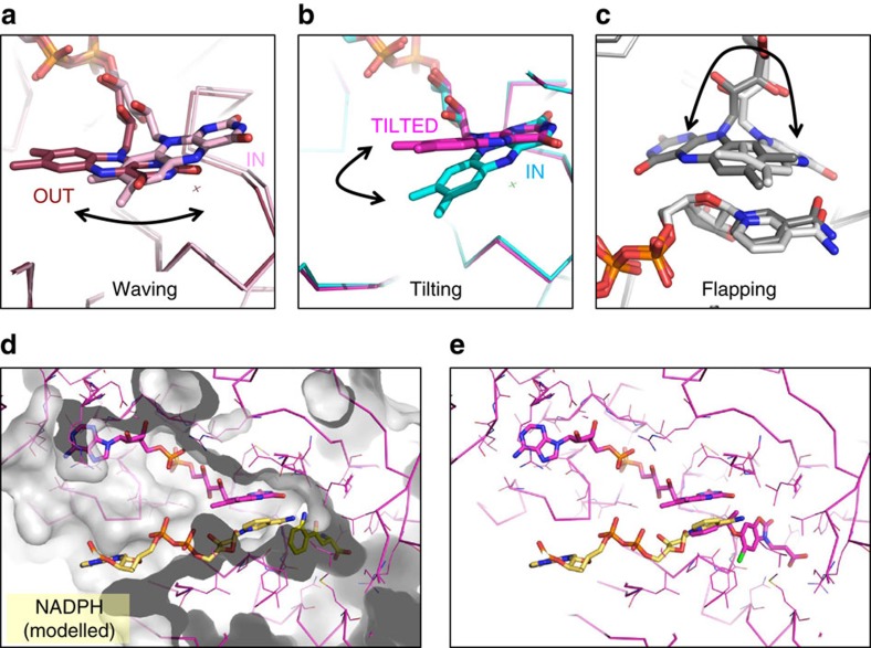 Figure 7