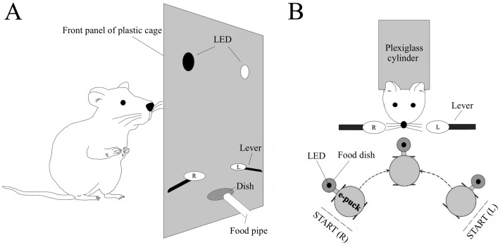 Fig 1