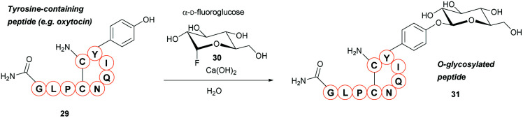 Scheme 6