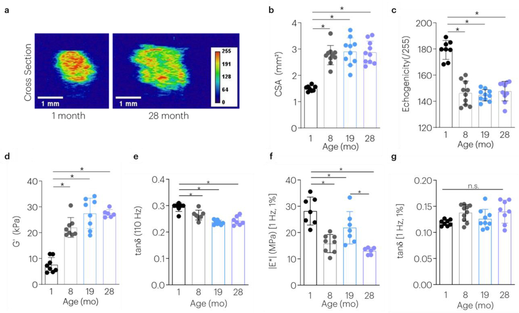 Figure 2 |