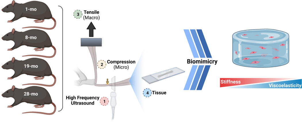 Figure 1 |