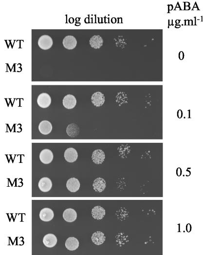 FIG. 5.