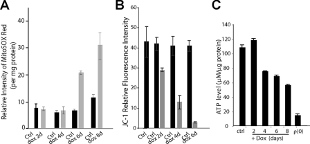 FIGURE 5.