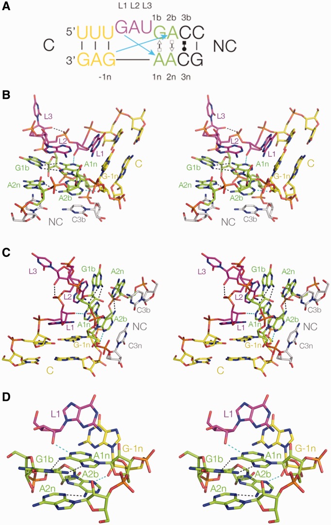 Figure 3.