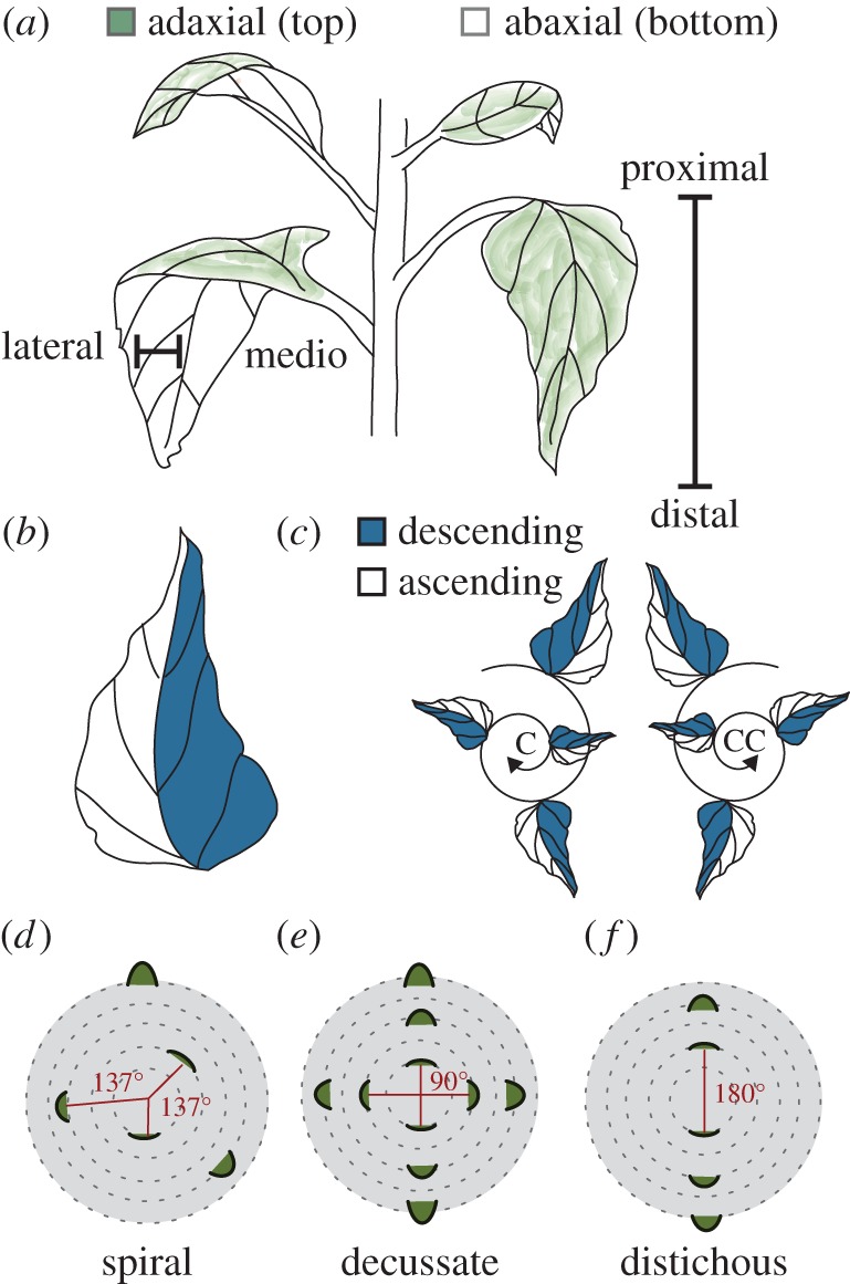 Figure 1.