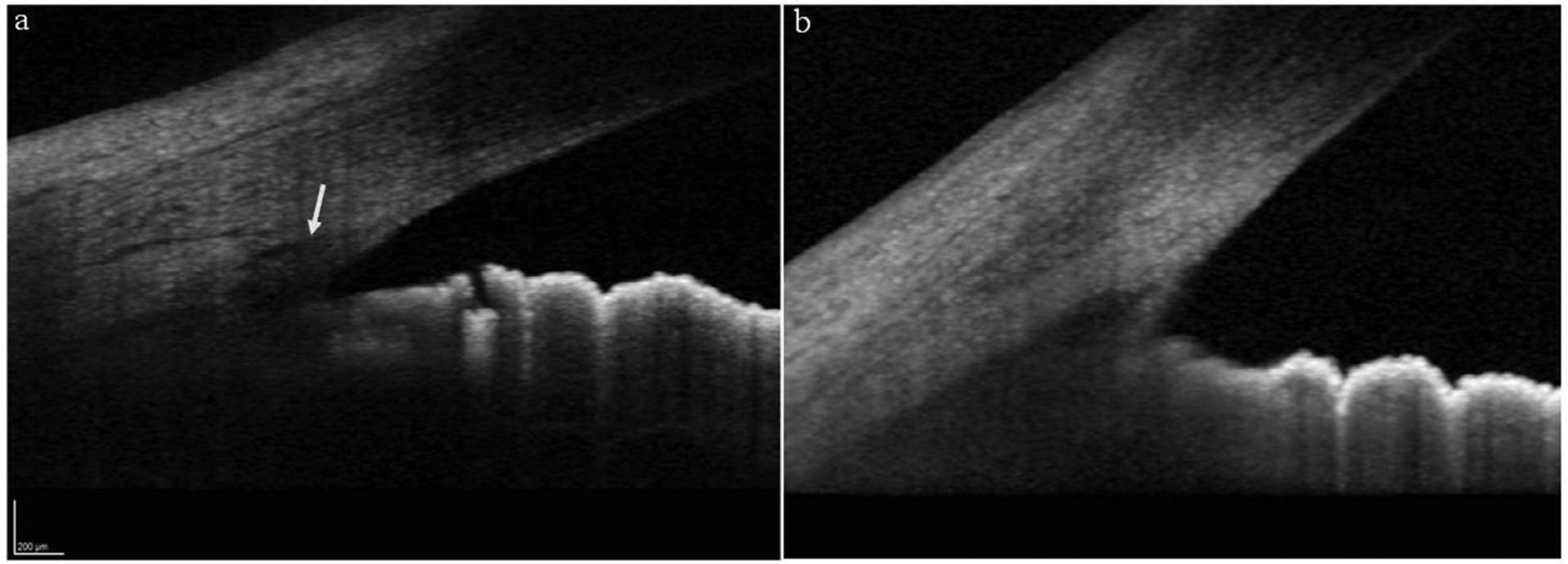 Figure 2 –