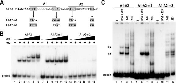 FIG. 3.