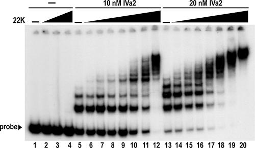 FIG. 4.