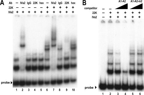 FIG. 5.