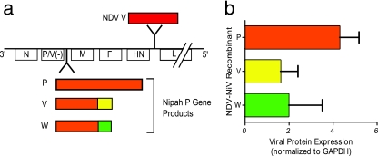 FIG. 1.