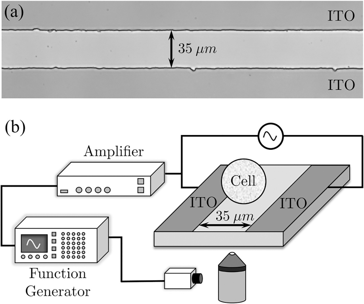 FIG. 1.