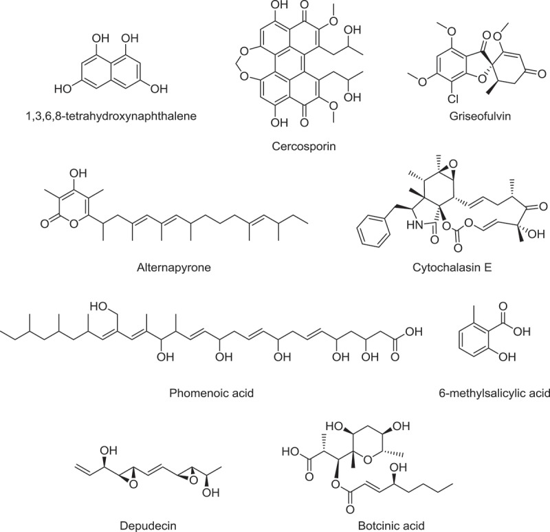 Figure 3. 