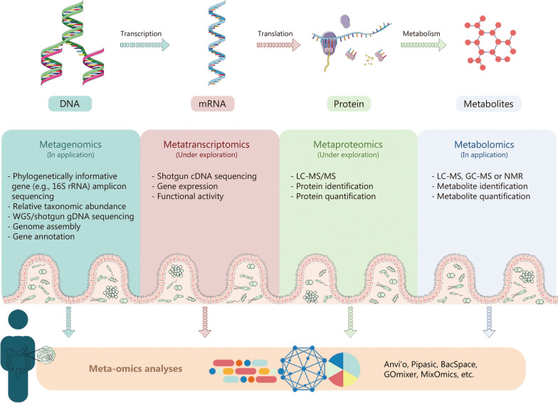 The correlation between gut microbiome and atrial fibrillation ...