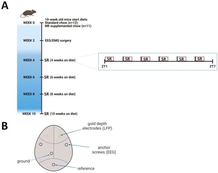 Figure 2.