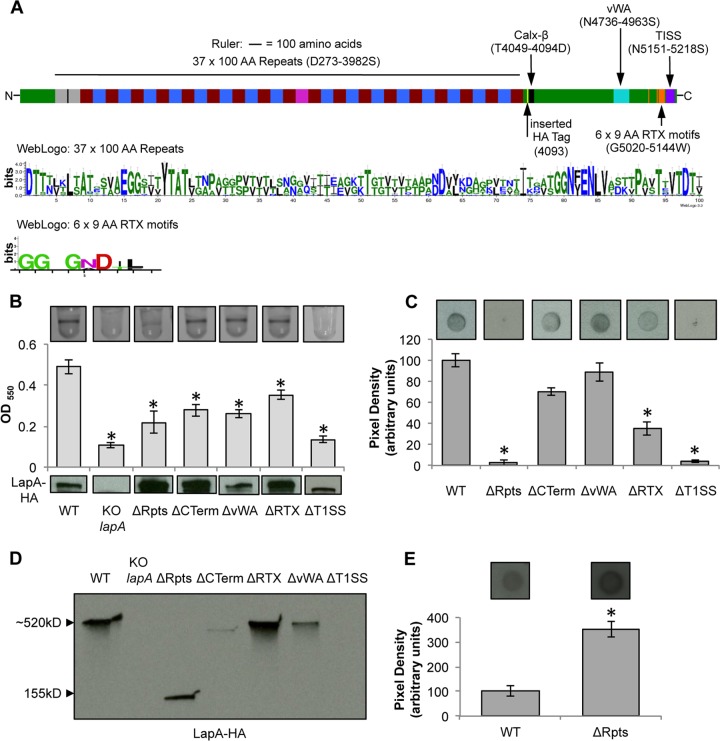 FIG 4