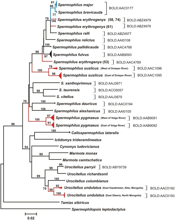 Figure 6