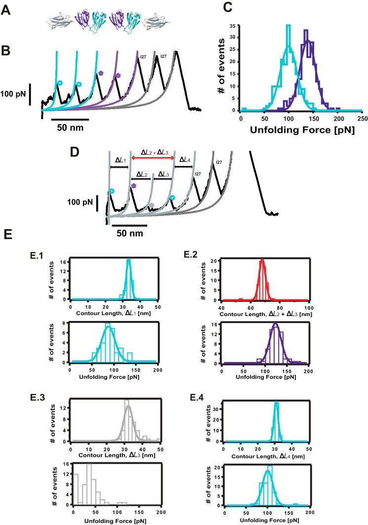 FIGURE 3.