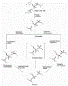 Fig. 40.