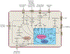 Fig. 46.