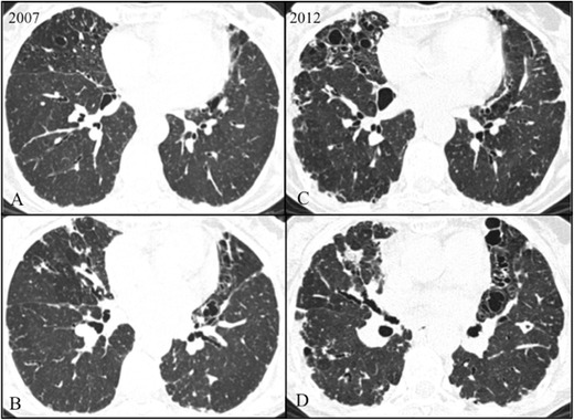 Fig. 5