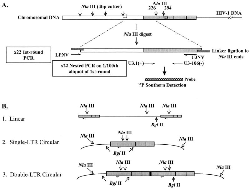 FIG. 1