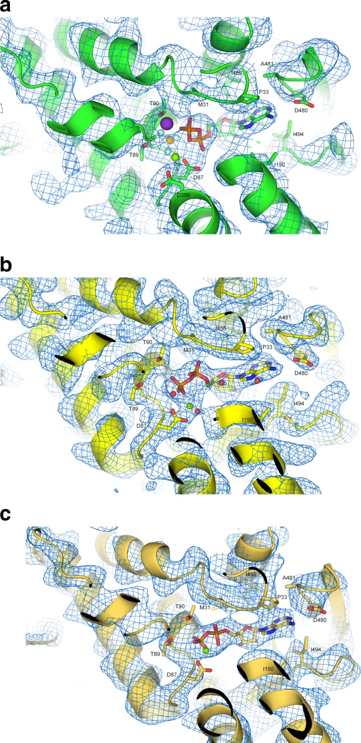 Fig. 2