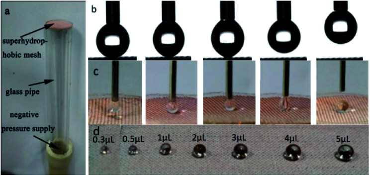 Fig. 12