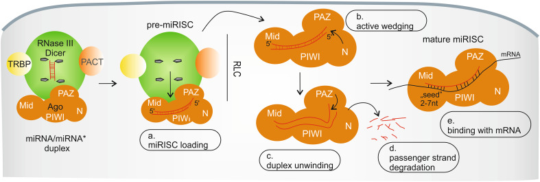 Fig. 2