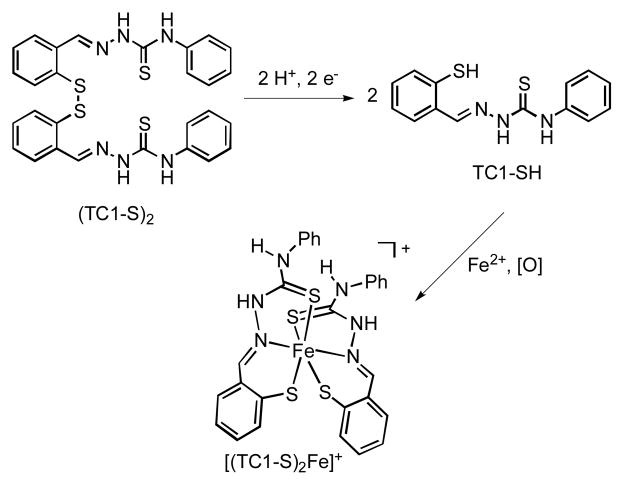 Scheme 1