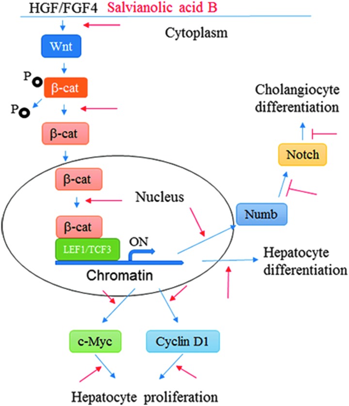 FIG. 7.