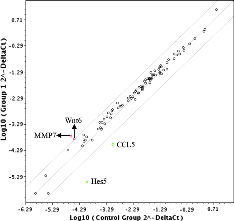 FIG. 3.