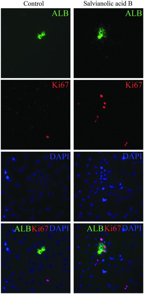 FIG. 6.