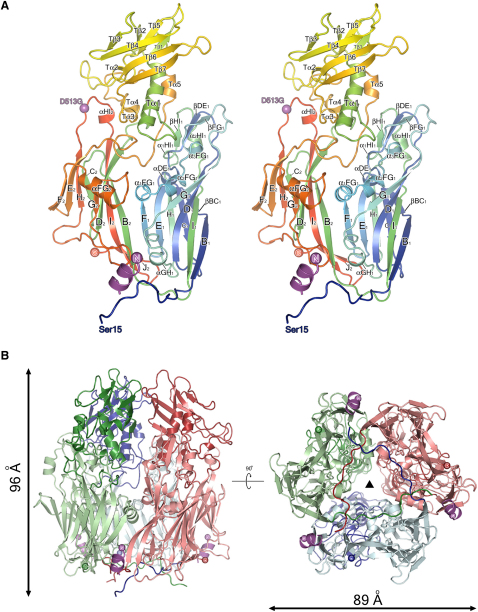 Figure 1