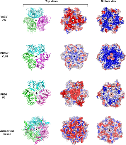 Figure 4