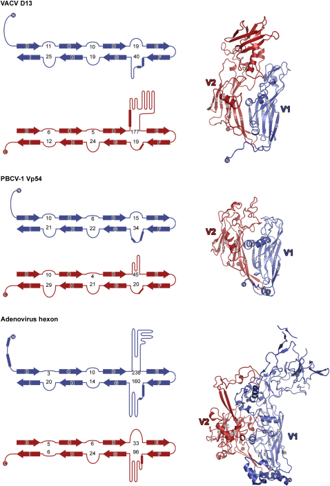 Figure 2