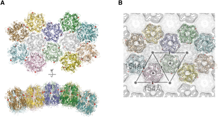 Figure 3