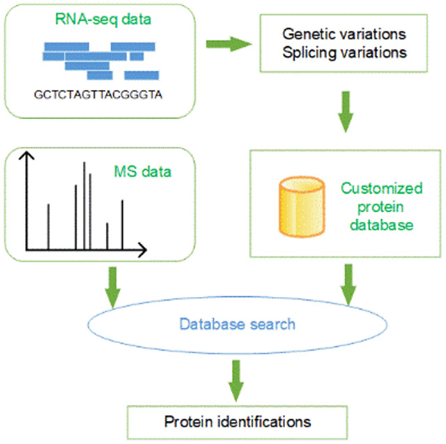 graphic file with name nihms-1649319-f0001.jpg