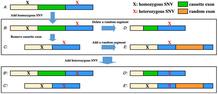 Figure 2.