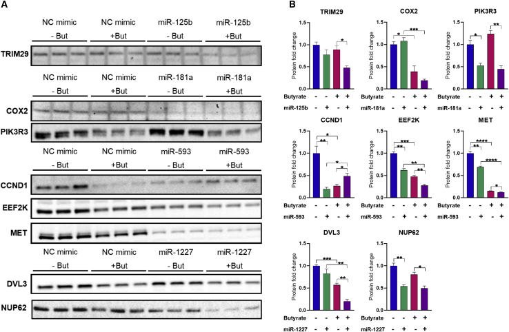 Figure 6