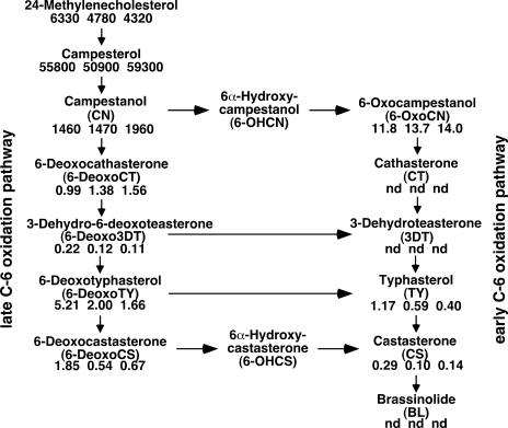 Figure 7.